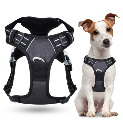 No Pull Dog Harness