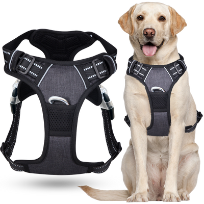 No Pull Dog Harness