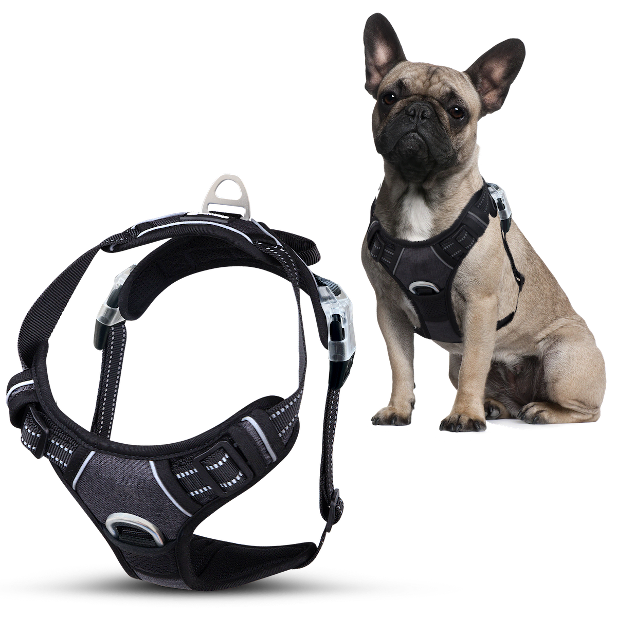 No Pull Dog Harness