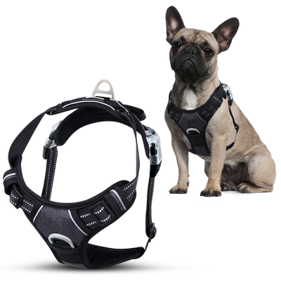 No Pull Dog Harness