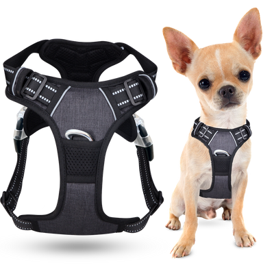 No Pull Dog Harness